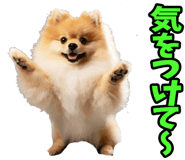 835873519