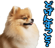 835873520