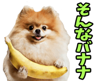 835873522