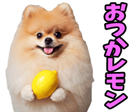 835873523