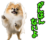 835873526