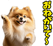 835873527