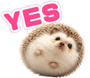 835875811