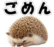 835875822