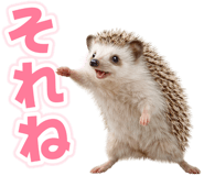 835875832