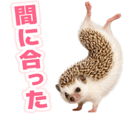 835875835