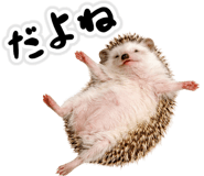 835875843