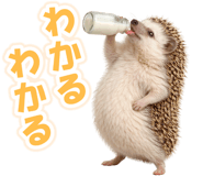 835875847