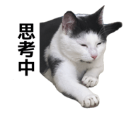 835875891