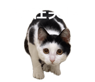 835875893