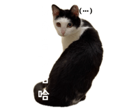 835875894