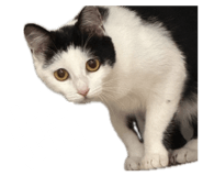 835875895