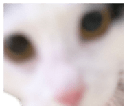 835875903