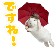 835875980