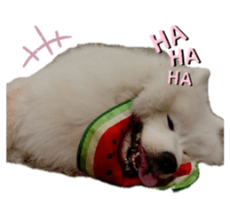 835876557