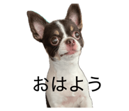 835881317