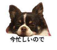 835881320