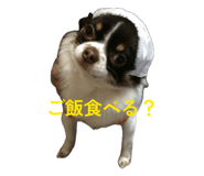 835881324