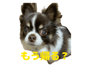 835881327