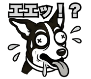 835886977