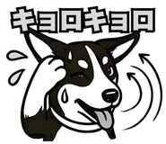 835886987