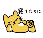 835889049