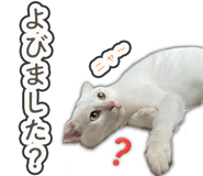 835890951