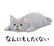 835892060