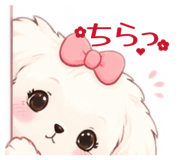 835892558