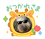 835893455