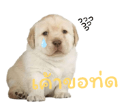 835898387