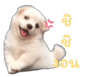835898392