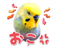 835904685
