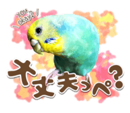 835904691