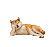 835904828
