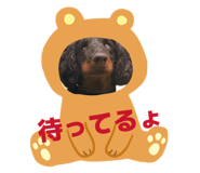 835905341