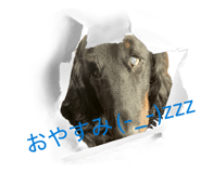 835905346