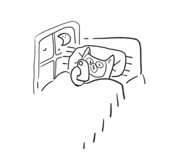 835907778
