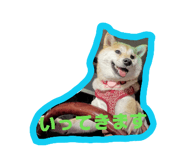 835920041