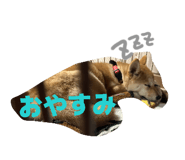 835920043