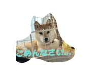 835920046