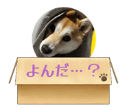 835920047