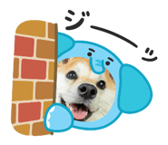 835920055