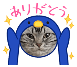 835923215