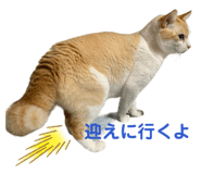 835929852