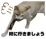 835929855