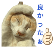 835929860