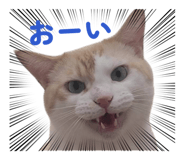 835929863