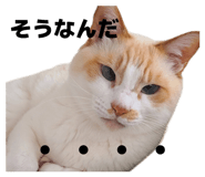 835929867