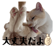835929868